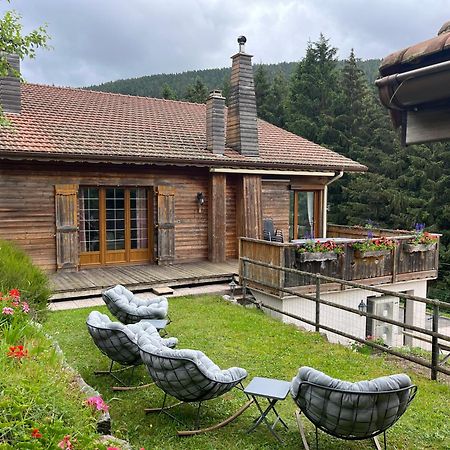 Au 21 Vosgien Bed and Breakfast Ventron Εξωτερικό φωτογραφία